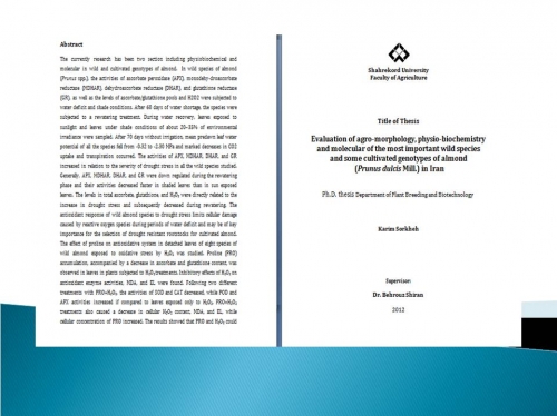 Detailed abstract on cosmetics logistics